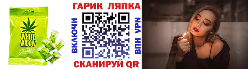 Купить закладки  Нолинск  Cannafood марихуана 
