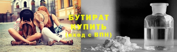 прущие грибы Дмитров