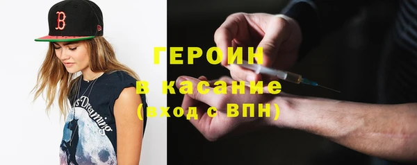 прущие грибы Дмитров