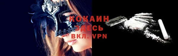 крисы Дмитриев