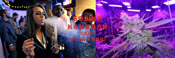 крисы Дмитриев