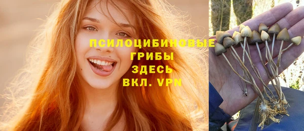 крисы Дмитриев