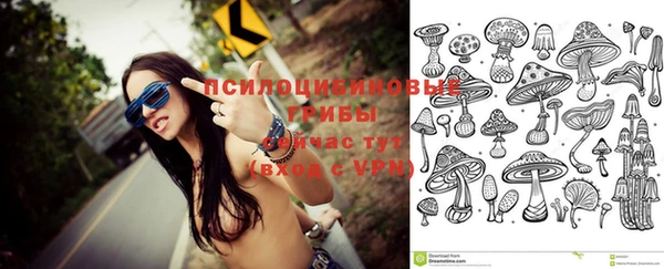 крисы Дмитриев