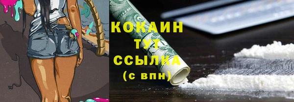 прущие грибы Дмитров