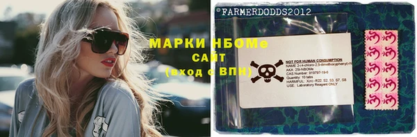 прущие грибы Дмитров