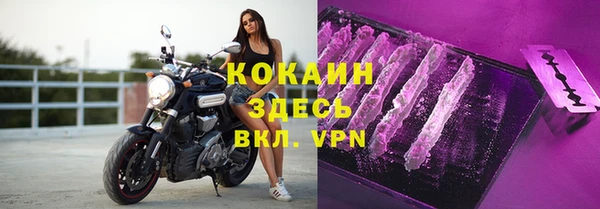 крисы Дмитриев