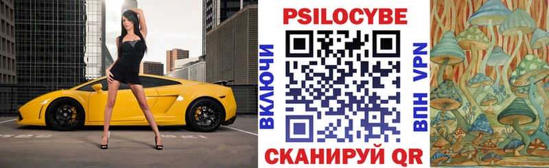 Купить где Нолинск Галлюциногенные грибы ЛСД